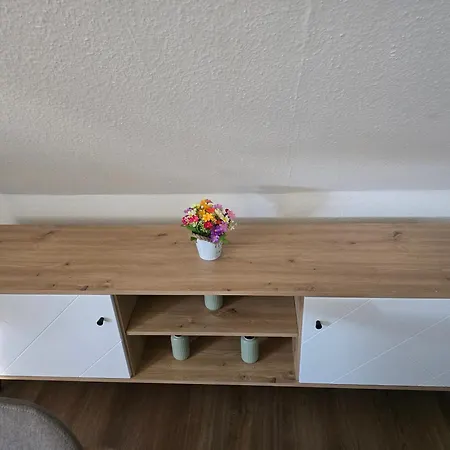 Schwalbennest Lembruch